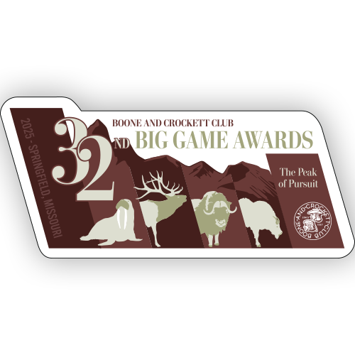 32nd Big Game Awards Decal