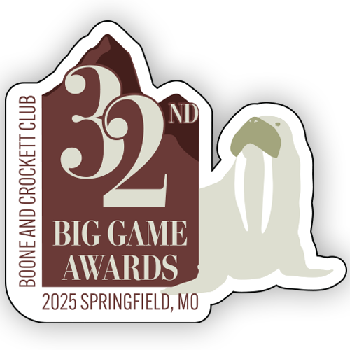 32nd Big Game Awards Walrus Decal