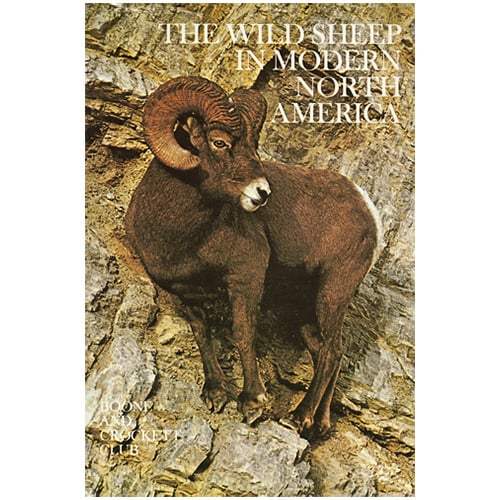 The Wild Sheep in Modern North America
