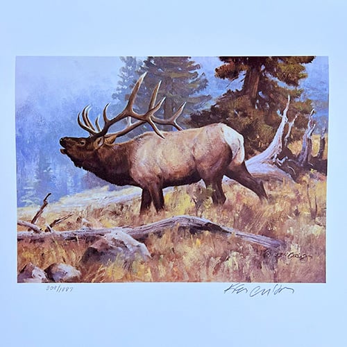 Conservation Stamp Prints