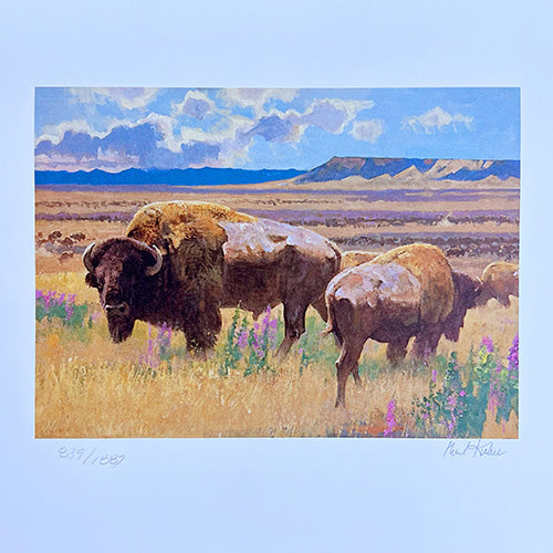 Conservation Stamp Prints