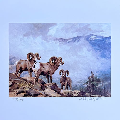 Conservation Stamp Prints