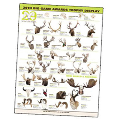Vintage 29th Big Game Trophy Display Poster
