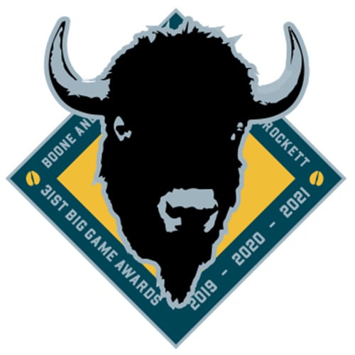 31st Awards Lapel Pin