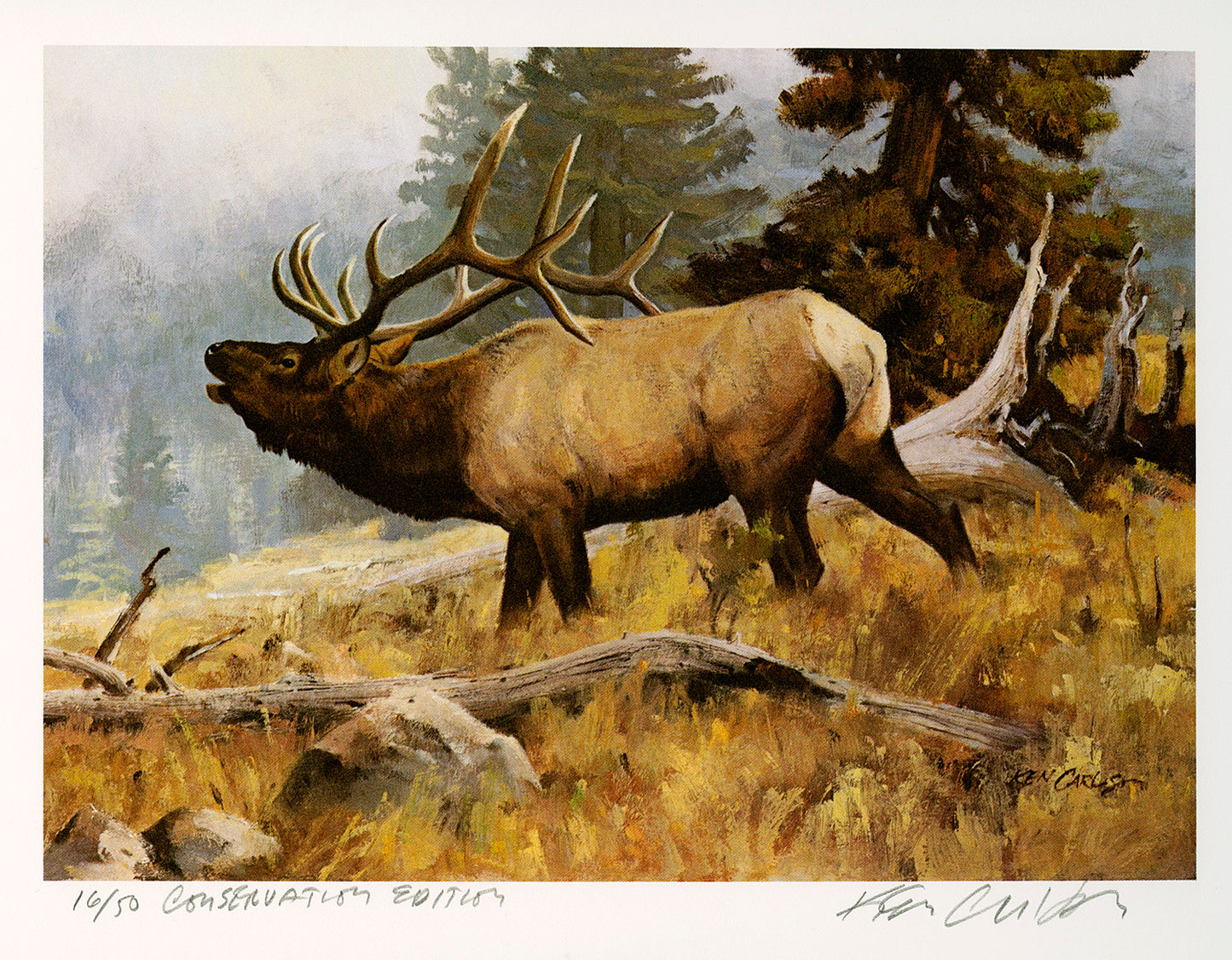 Conservation Stamp Prints