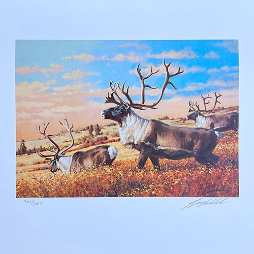 Conservation Stamp Prints