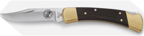 Buck Folding Hunter Knife