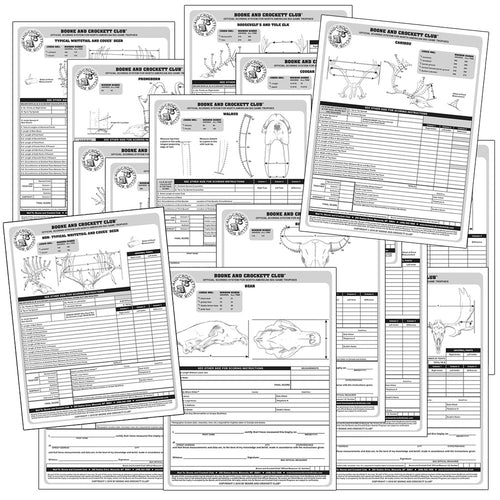 Boone and Crockett Score Charts
