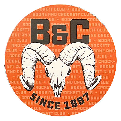 Sheep B&C Decal